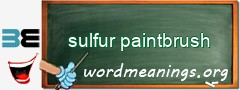 WordMeaning blackboard for sulfur paintbrush